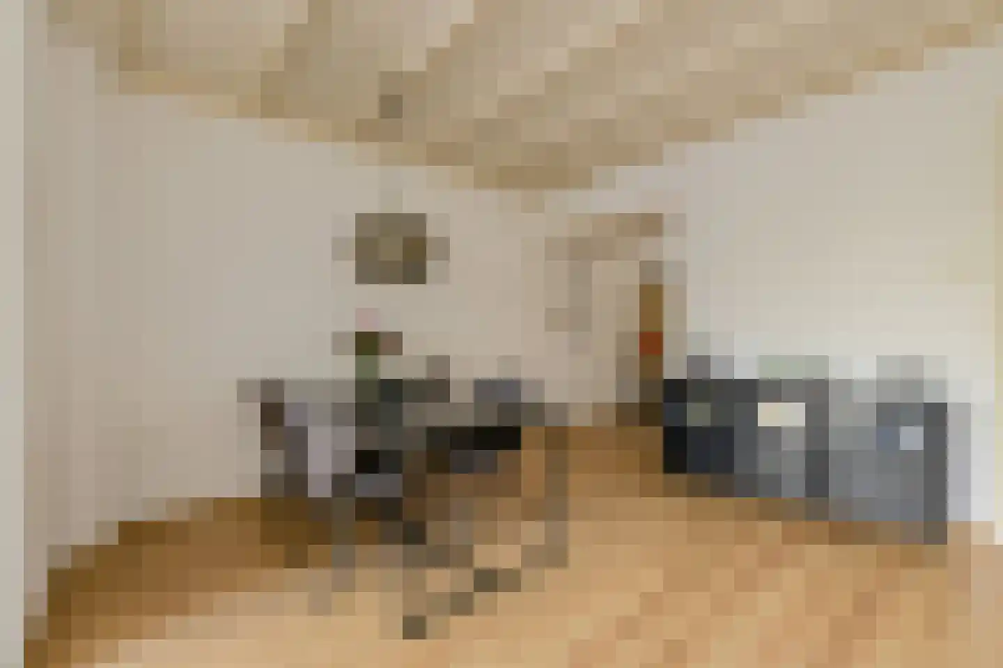 Ranonkelstraat 46 Breda thumbnail 9