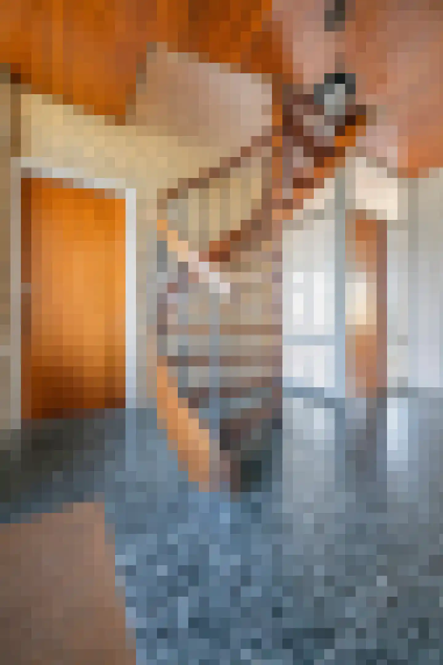 Ranonkelstraat 46 Oud-Beijerland thumbnail 15