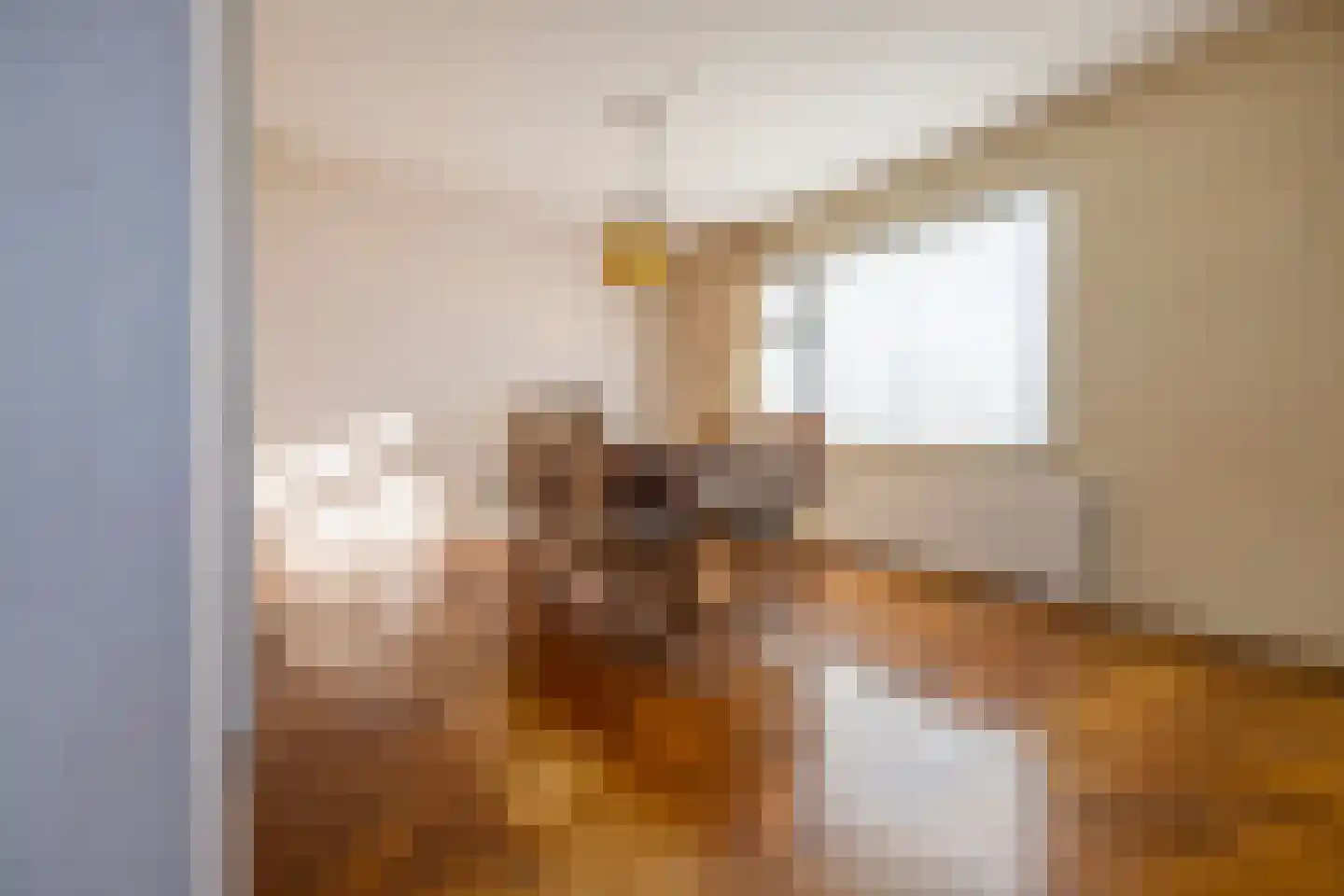 Ranonkelstraat 46 Oud-Beijerland thumbnail 19
