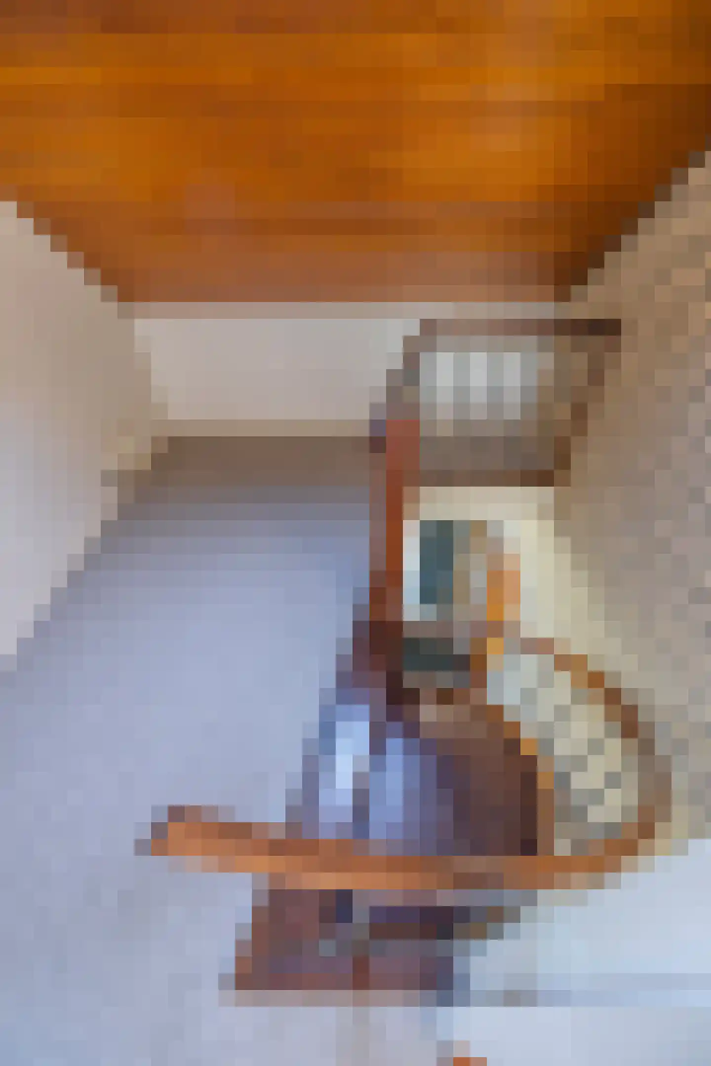 Ranonkelstraat 46 Oud-Beijerland thumbnail 38