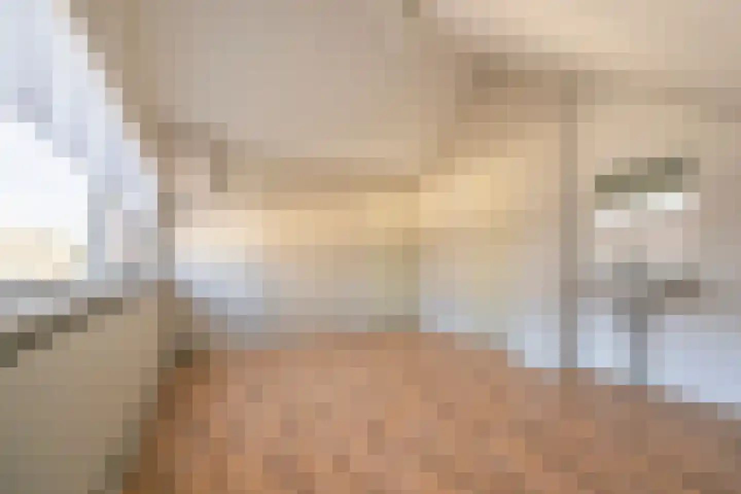 Ranonkelstraat 46 Oud-Beijerland thumbnail 46