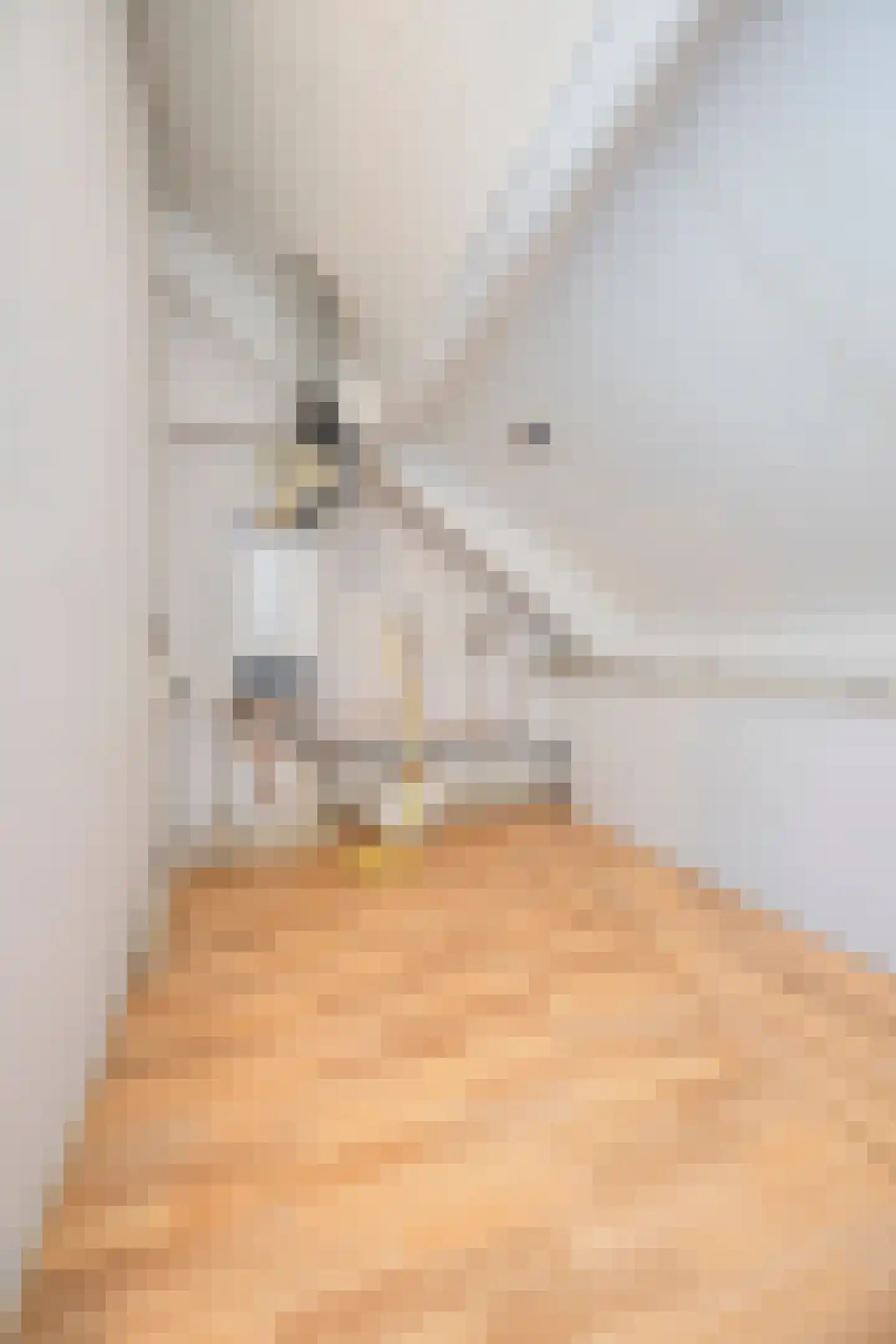 Ranonkelstraat 46 Oud-Beijerland thumbnail 47