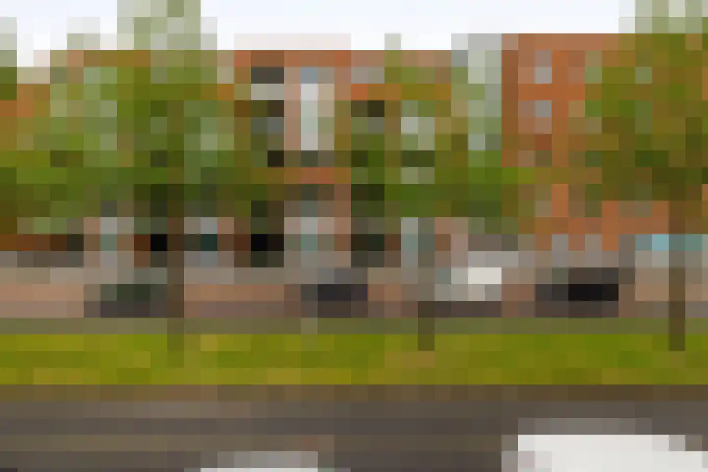 Ranonkelstraat 49 Spijkenisse