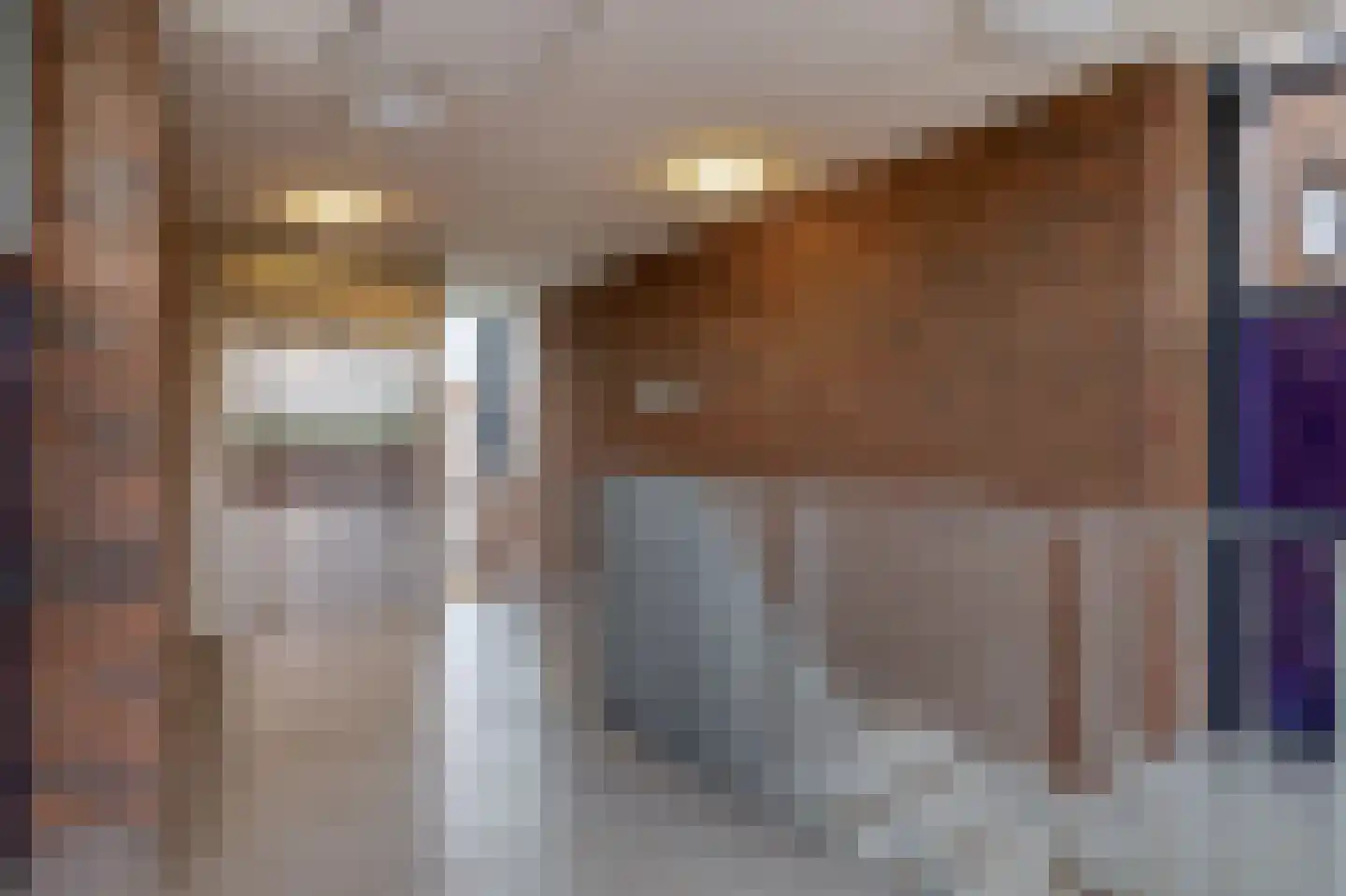 Ranonkelstraat 49 Spijkenisse thumbnail 11