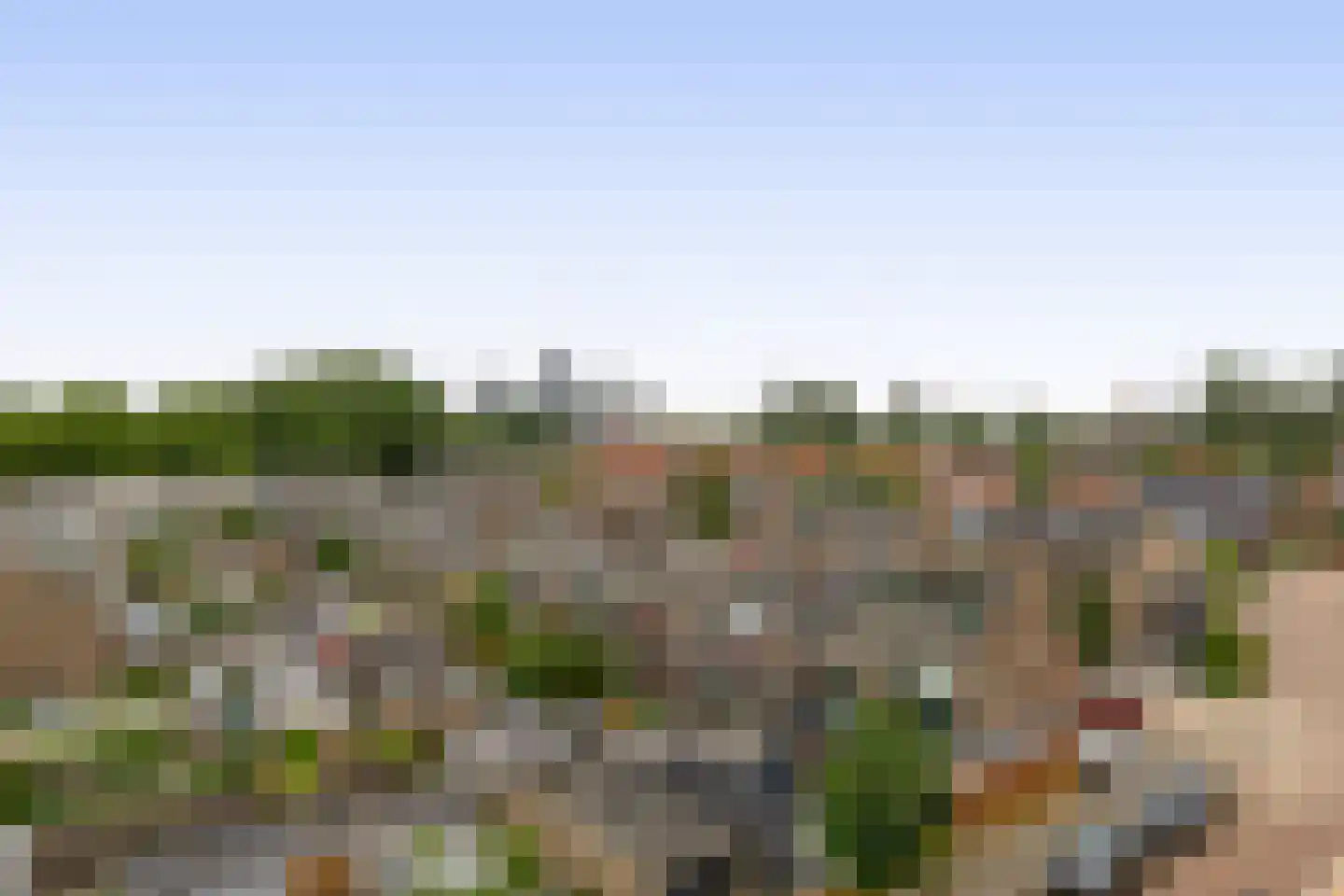 Ranonkelstraat 49 Spijkenisse thumbnail 14