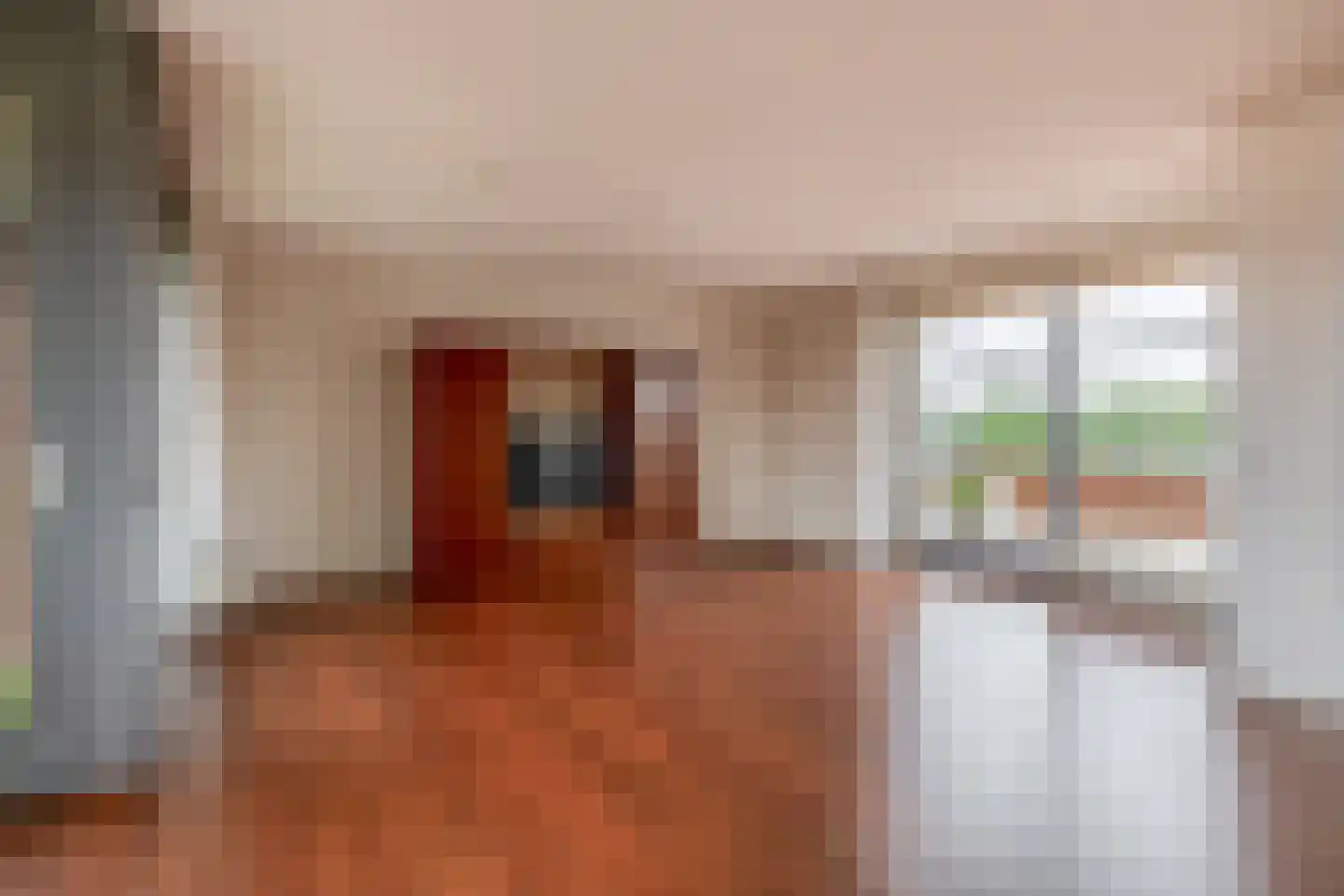 Ranonkelstraat 49 Spijkenisse thumbnail 19