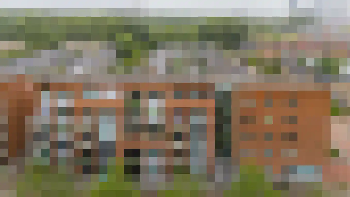 Ranonkelstraat 49 Spijkenisse thumbnail 42