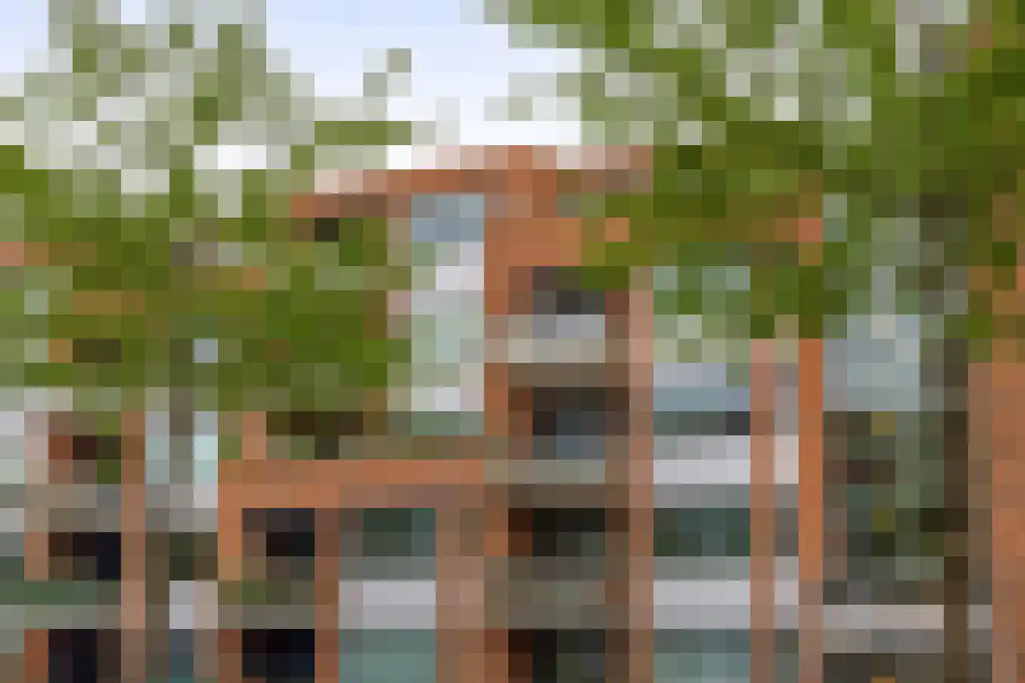 Ranonkelstraat 49 Spijkenisse thumbnail 5