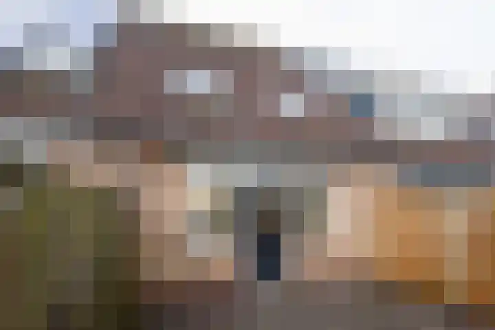 Ranonkelstraat 5 Bleskensgraaf ca thumbnail 20