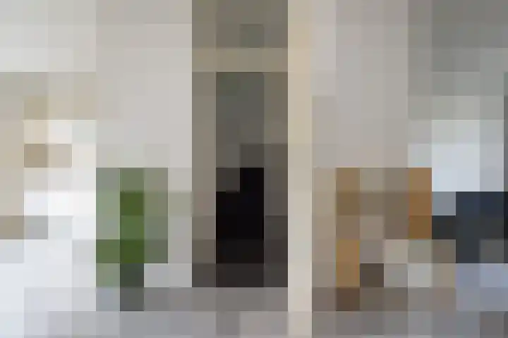 Ranonkelstraat 5 Bleskensgraaf ca thumbnail 7