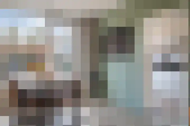 Ranonkelstraat 5 Swifterbant thumbnail 11