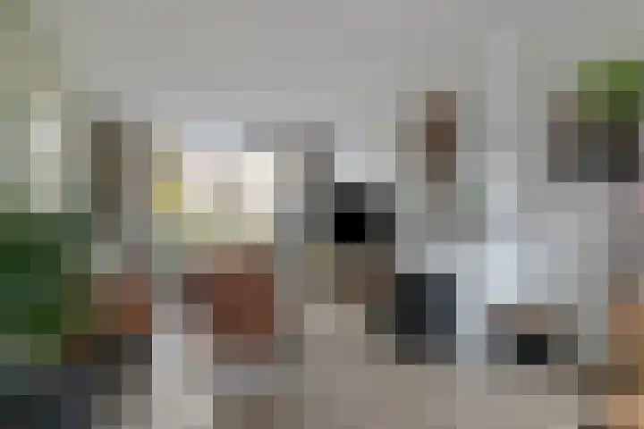 Ranonkelstraat 5 Swifterbant thumbnail 12