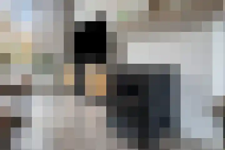 Ranonkelstraat 5 Swifterbant thumbnail 14