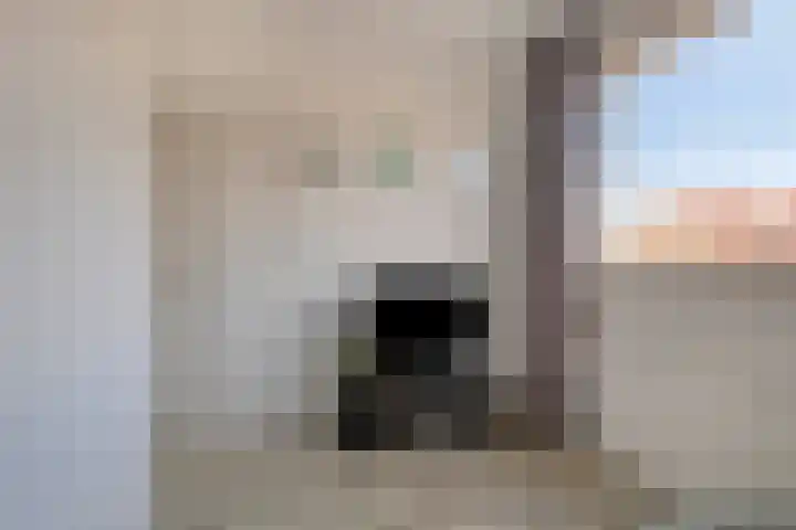 Ranonkelstraat 5 Swifterbant thumbnail 20