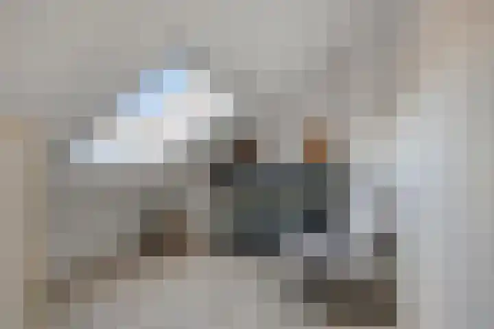 Ranonkelstraat 5 Swifterbant thumbnail 30