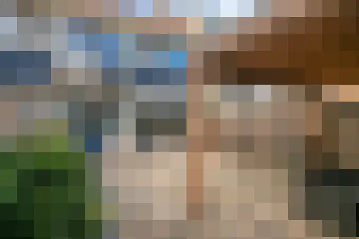Ranonkelstraat 5 Swifterbant thumbnail 31