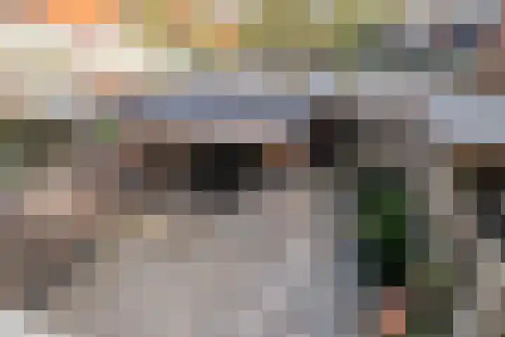 Ranonkelstraat 5 Swifterbant thumbnail 34