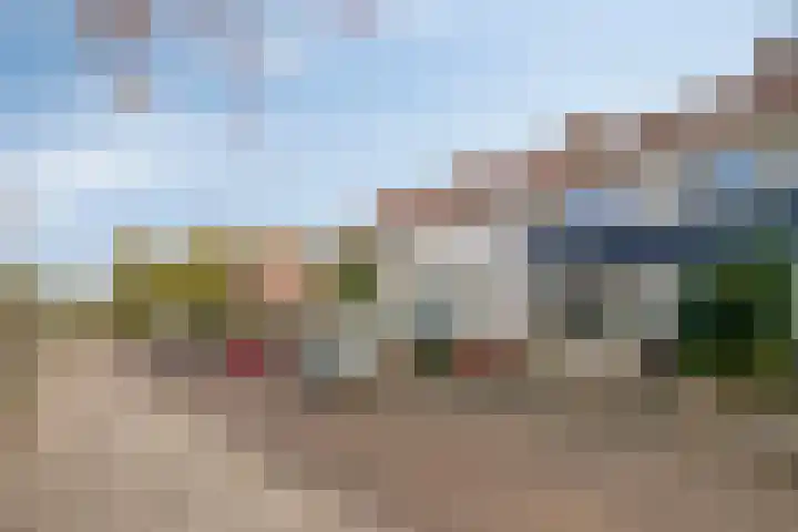 Ranonkelstraat 5 Swifterbant thumbnail 36