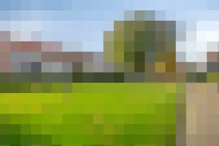 Ranonkelstraat 5 Swifterbant thumbnail 38