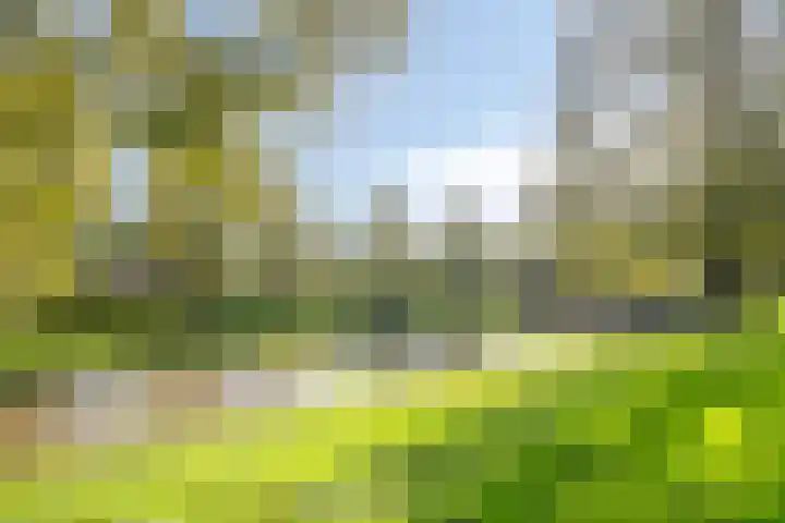 Ranonkelstraat 5 Swifterbant thumbnail 39
