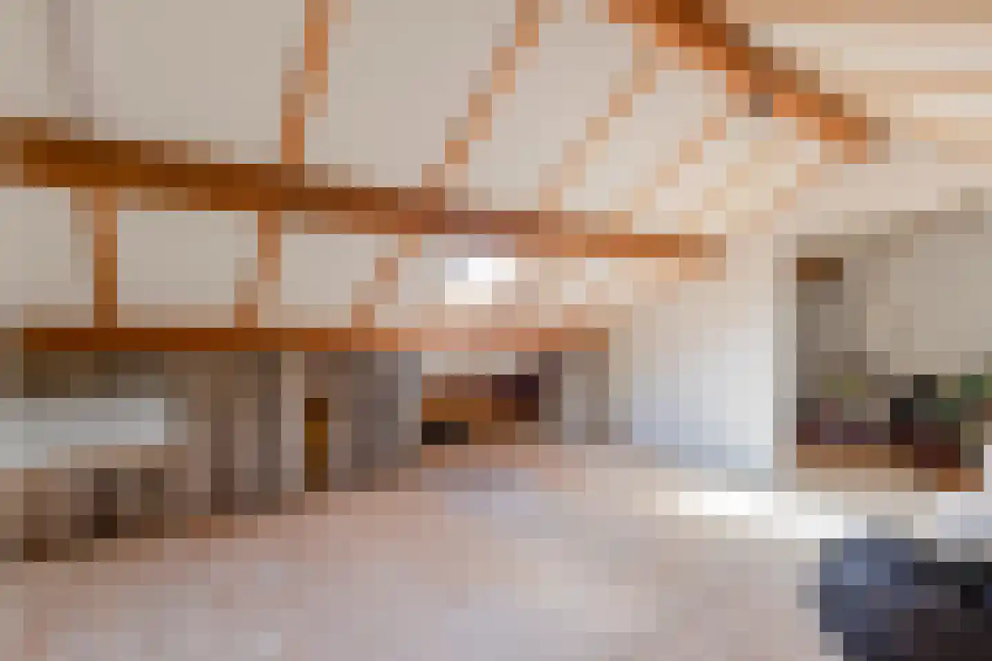 Ranonkelstraat 50 Roosendaal thumbnail 20