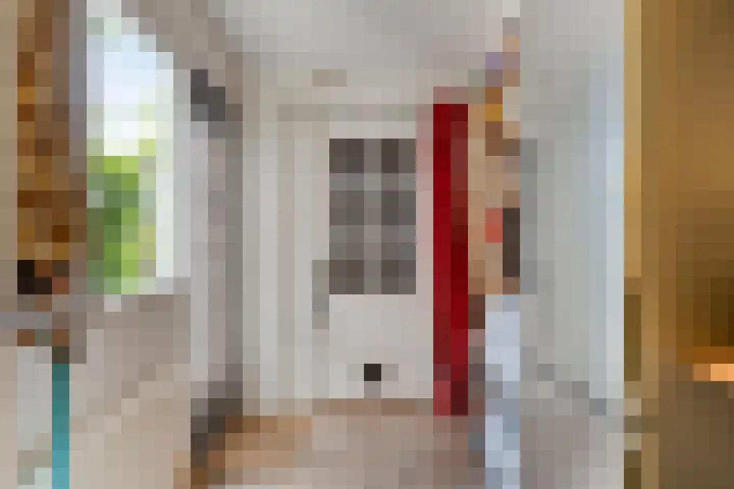 Ranonkelstraat 53 A Arnhem thumbnail 13