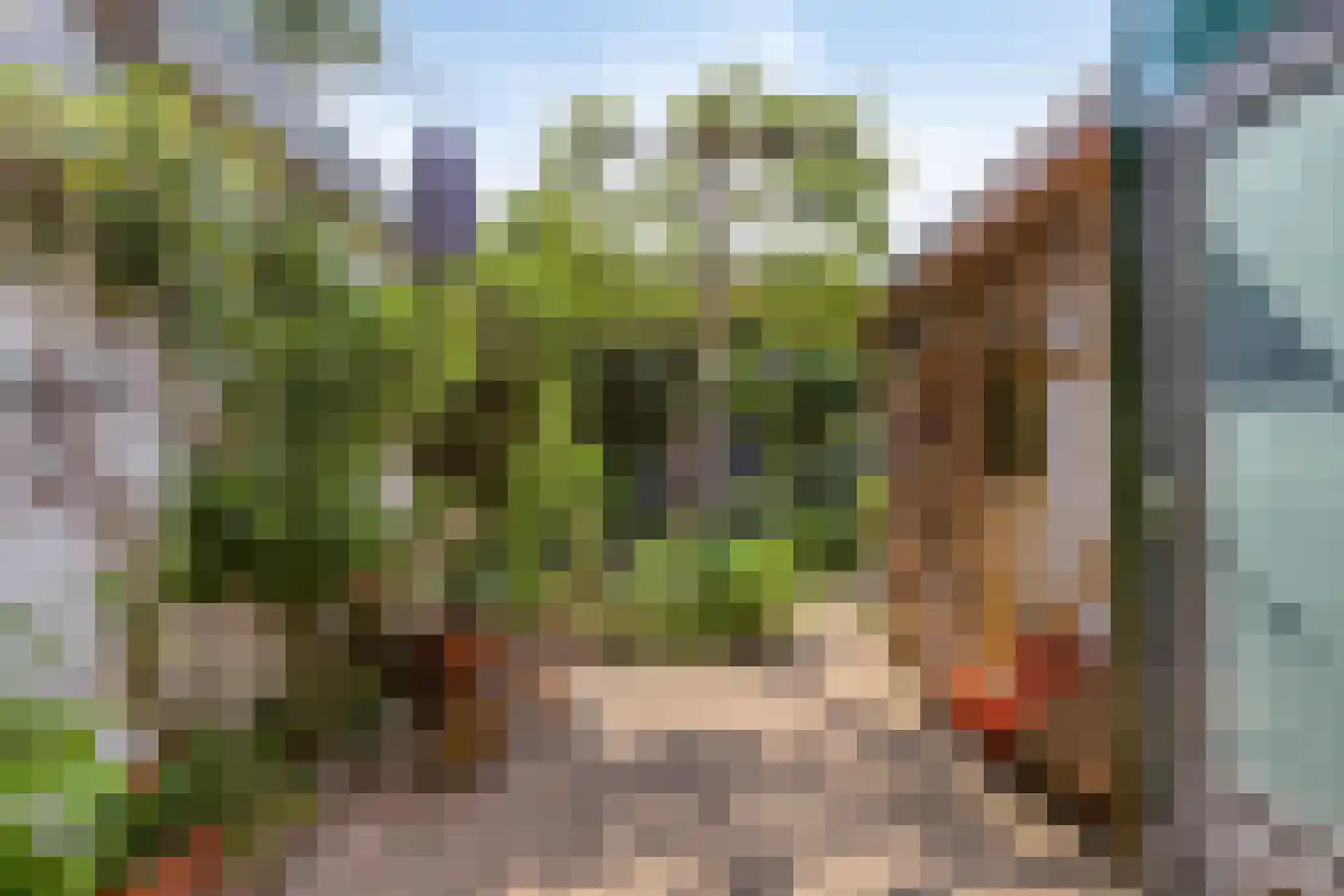 Ranonkelstraat 53 A Arnhem thumbnail 25