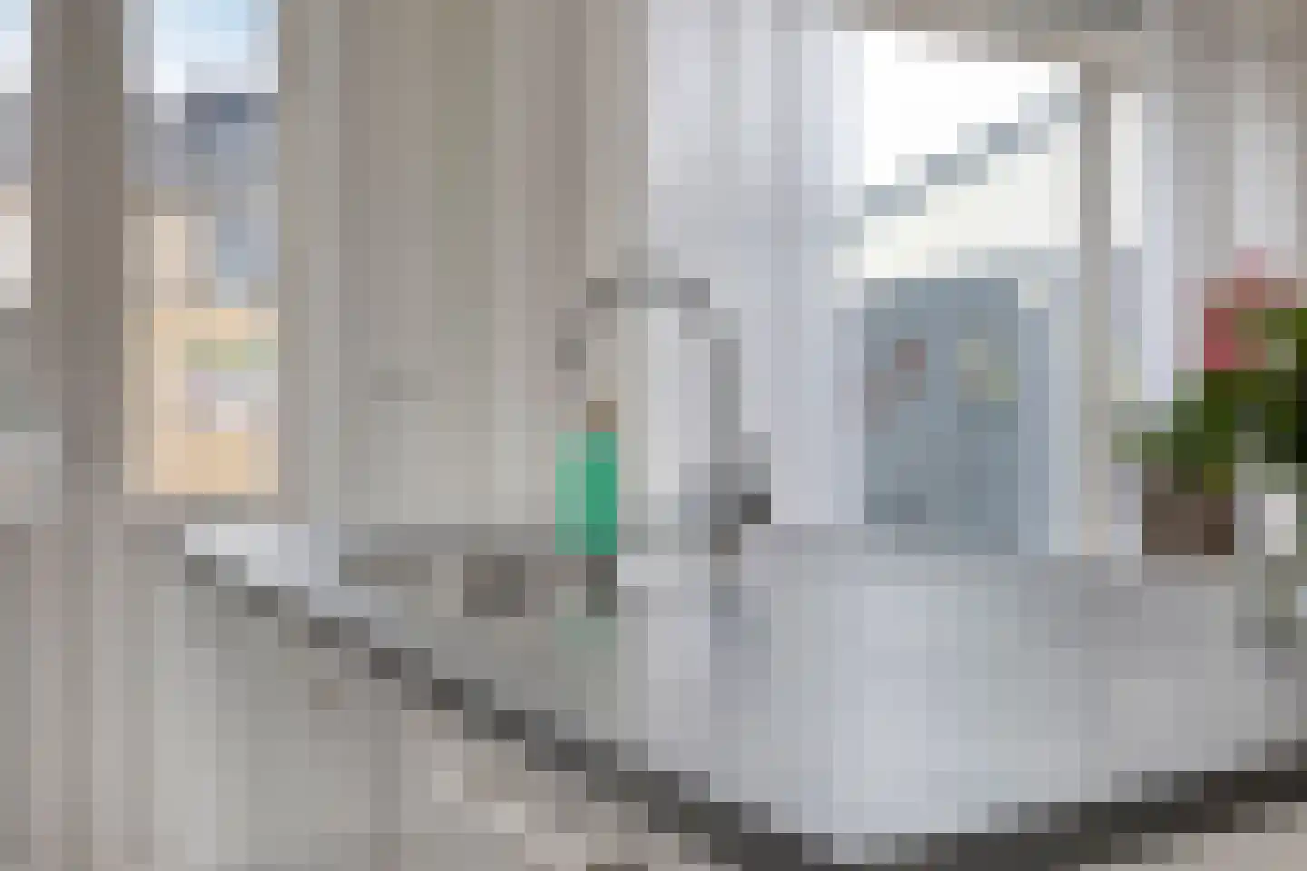 Ranonkelstraat 53 Oosterhout thumbnail 12