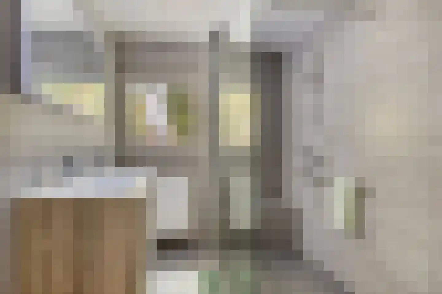 Ranonkelstraat 53 Oosterhout thumbnail 22