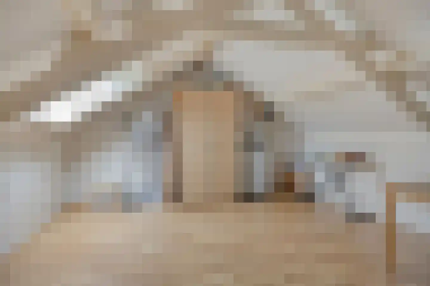 Ranonkelstraat 53 Oosterhout thumbnail 26