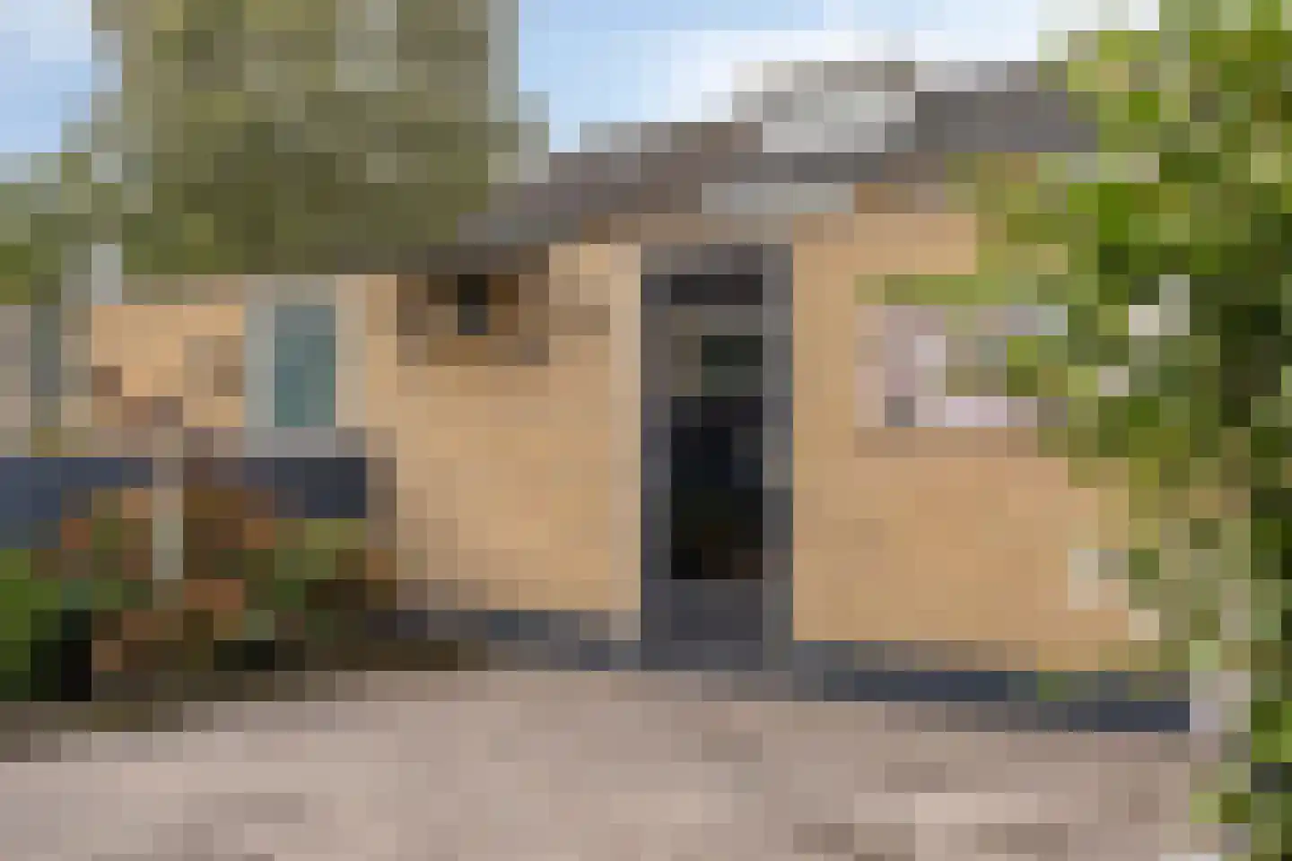 Ranonkelstraat 53 Oosterhout thumbnail 29