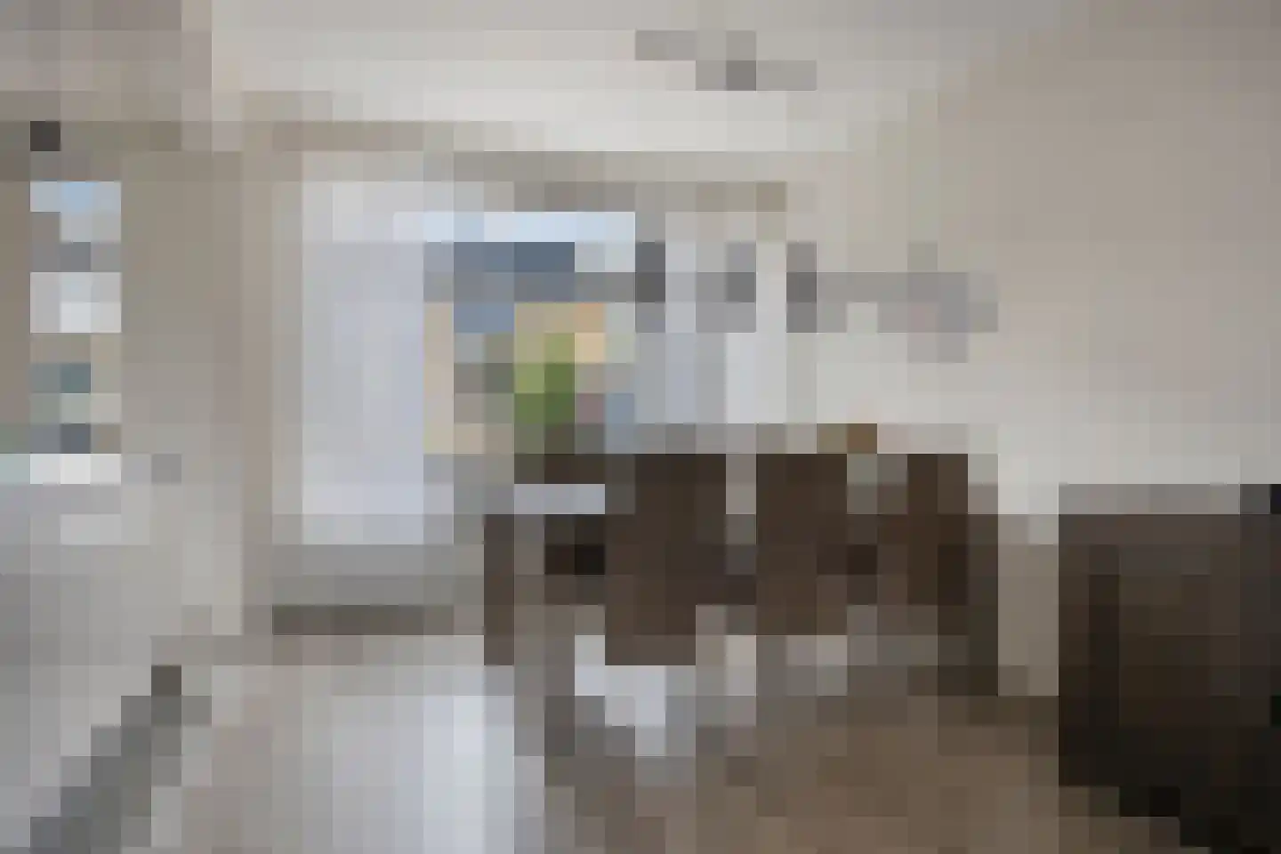 Ranonkelstraat 53 Oosterhout thumbnail 6