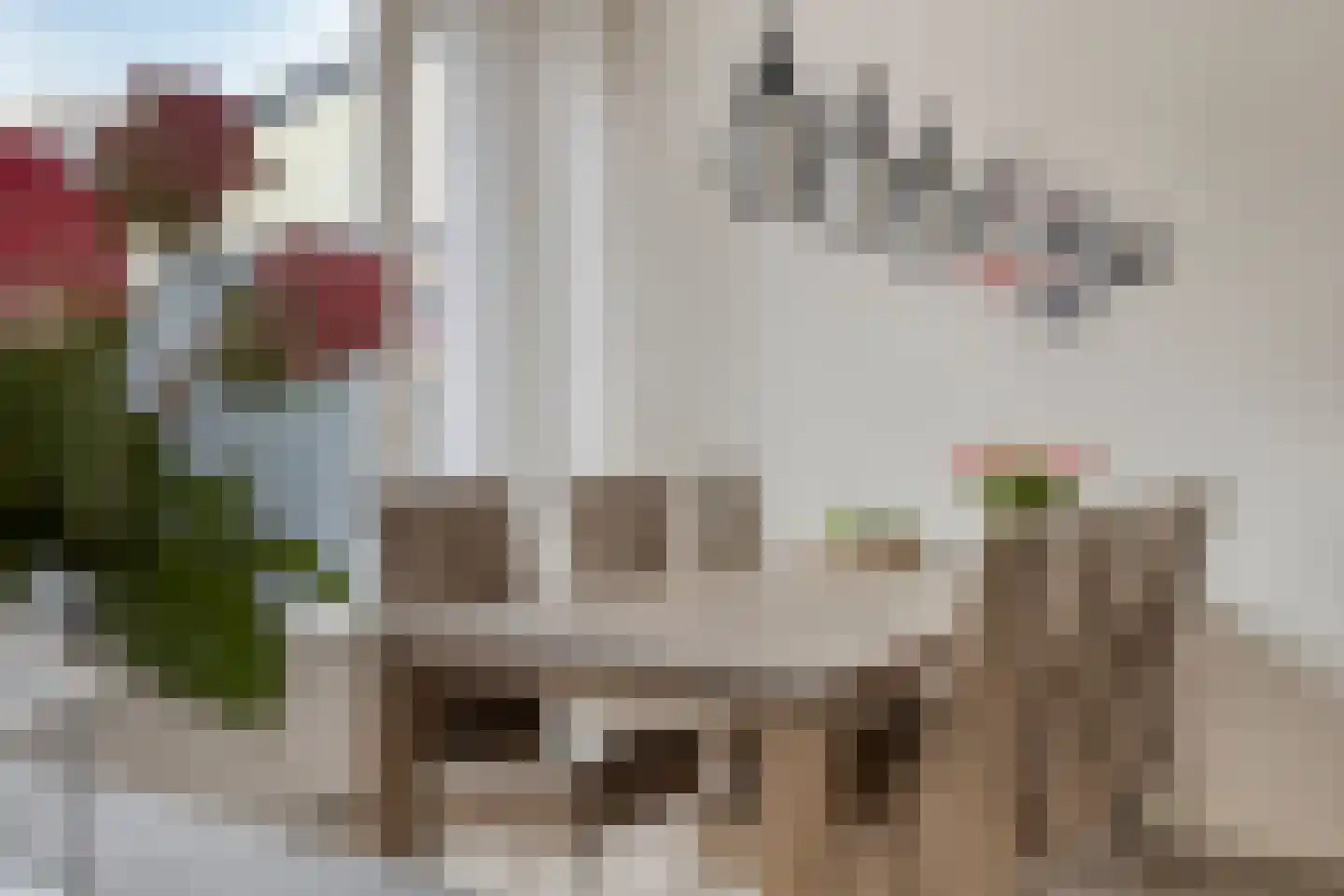 Ranonkelstraat 53 Oosterhout thumbnail 7