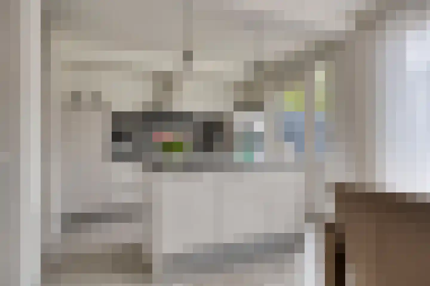 Ranonkelstraat 53 Oosterhout thumbnail 8