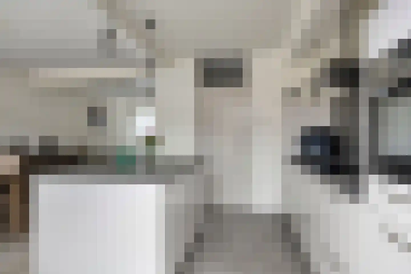 Ranonkelstraat 53 Oosterhout thumbnail 9