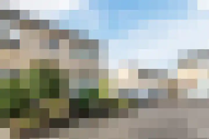 Ranonkelstraat 59 Oosterhout thumbnail 40