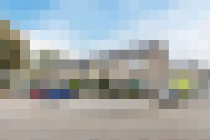 Ranonkelstraat 59 Oosterhout thumbnail 41