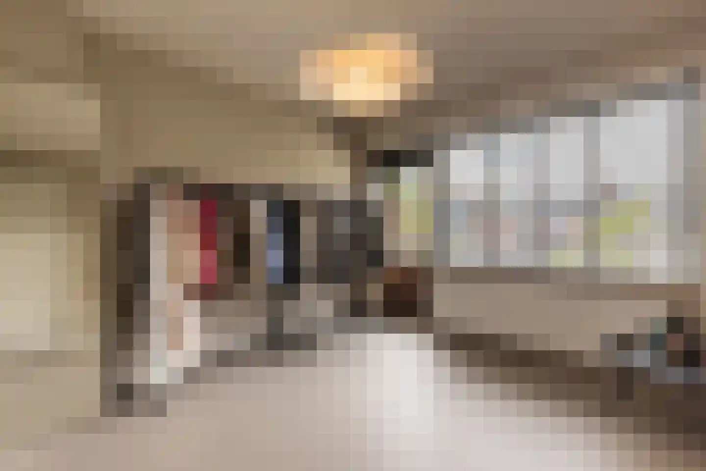 Ranonkelstraat 6 Arnhem thumbnail 25