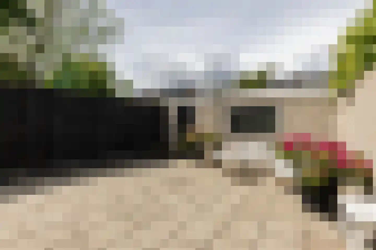 Ranonkelstraat 6 Arnhem thumbnail 33