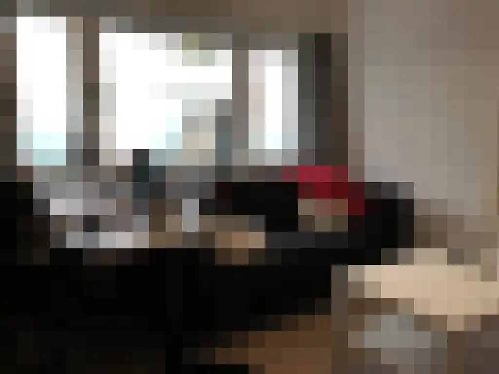 Ranonkelstraat 6 Eindhoven thumbnail 4