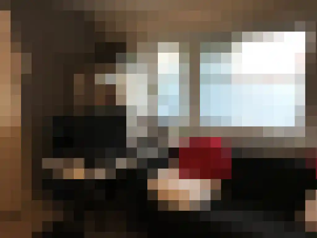 Ranonkelstraat 6 Eindhoven thumbnail 5