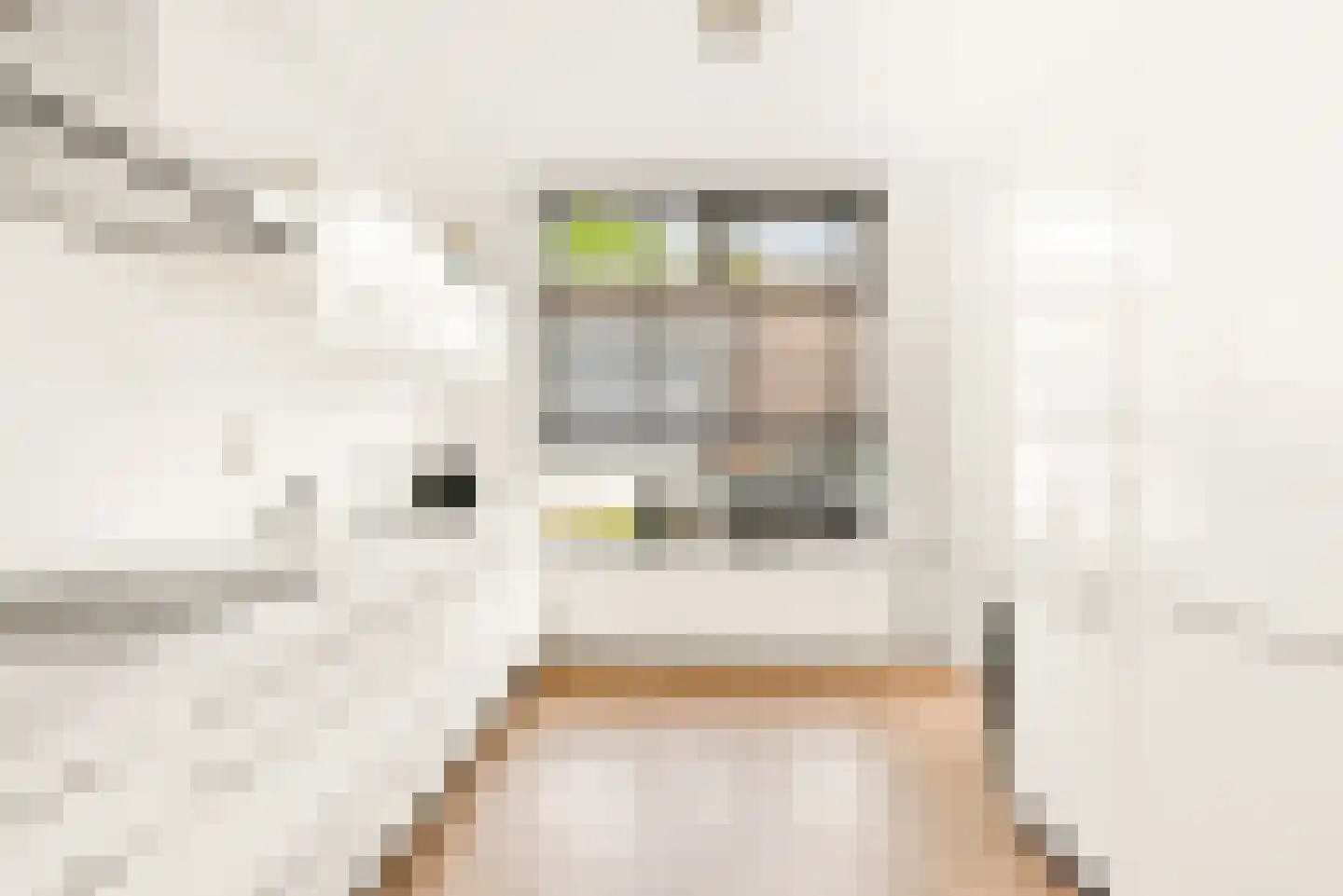 Ranonkelstraat 6 Santpoort-Noord thumbnail 13