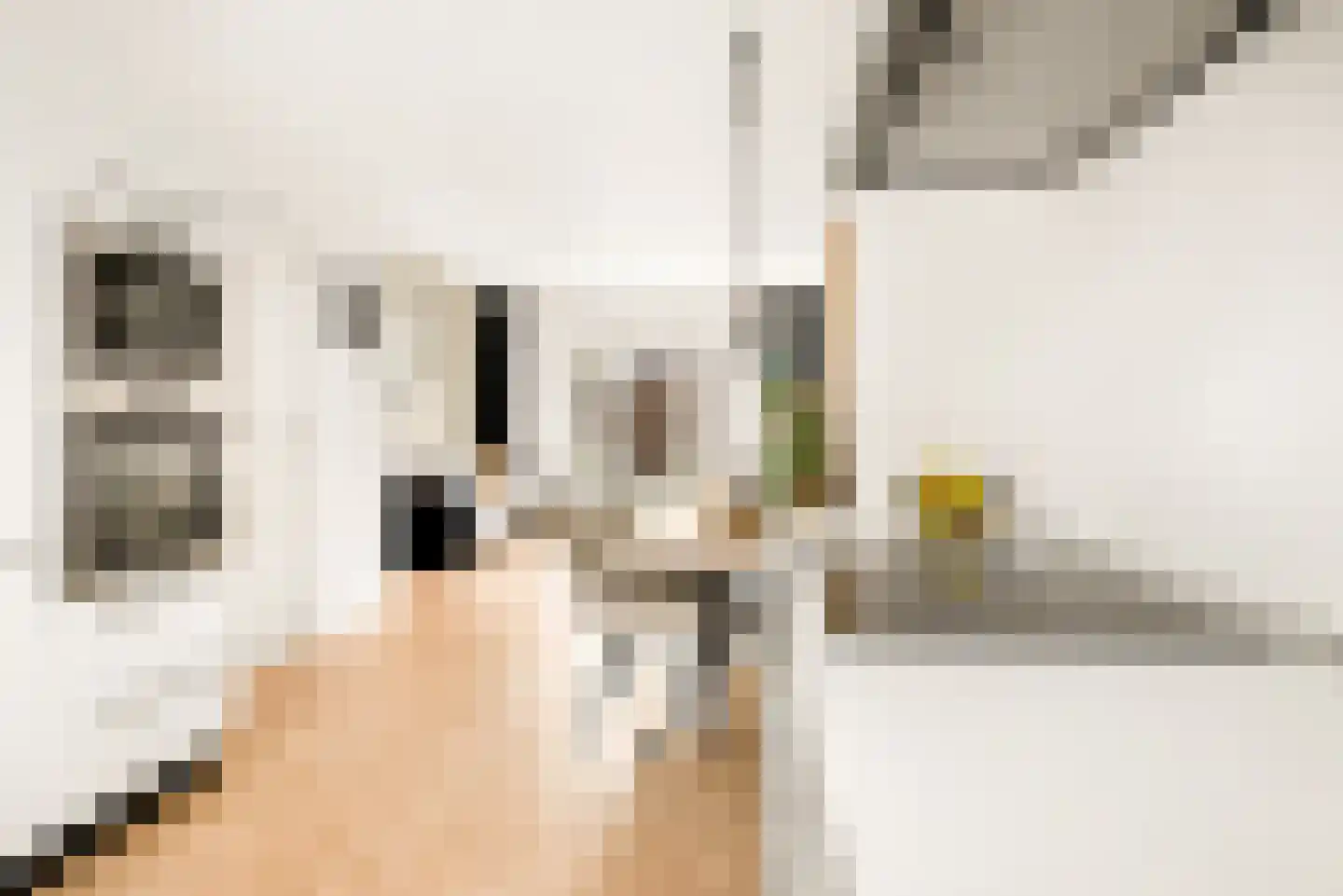 Ranonkelstraat 6 Santpoort-Noord thumbnail 16