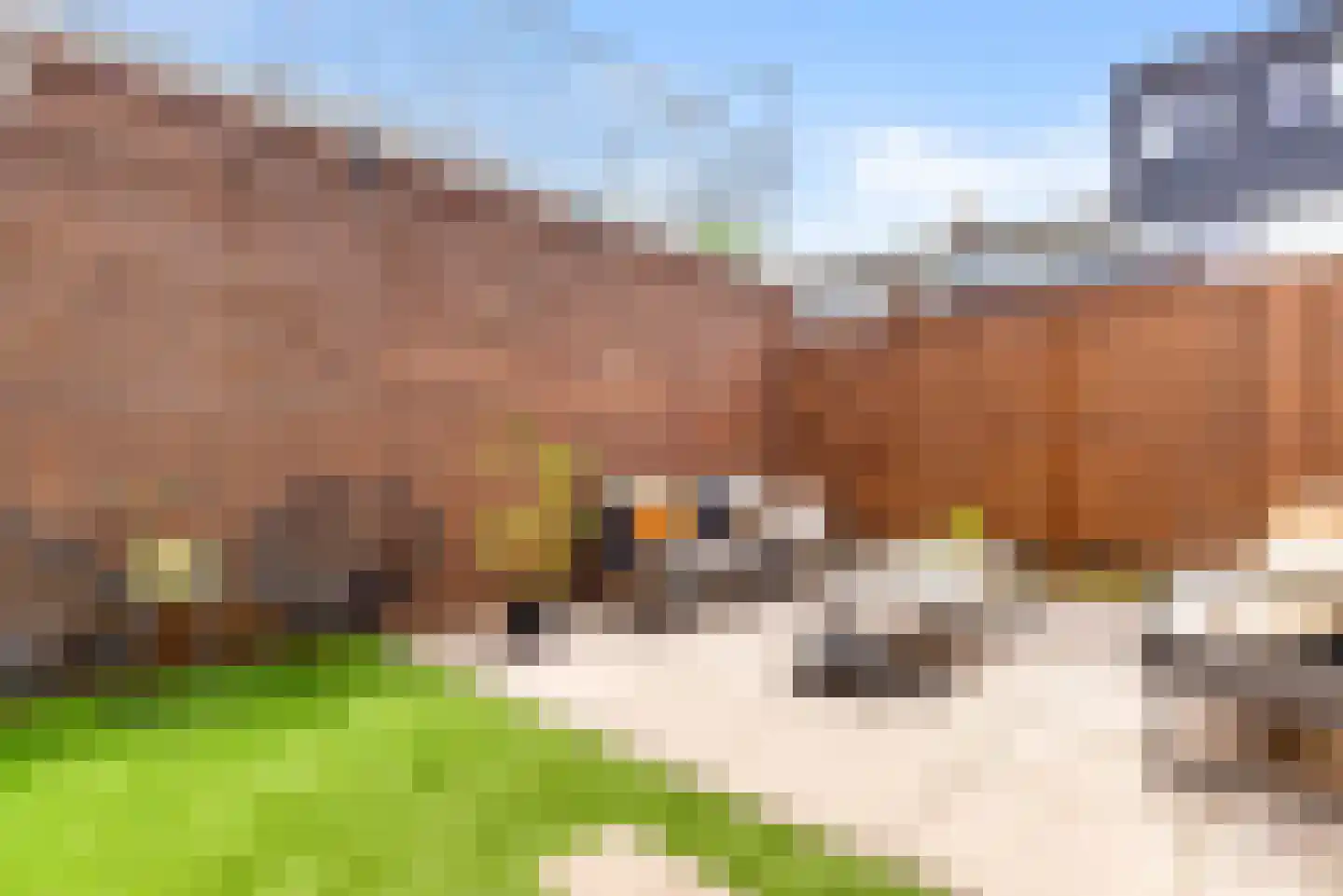 Ranonkelstraat 6 Santpoort-Noord thumbnail 21