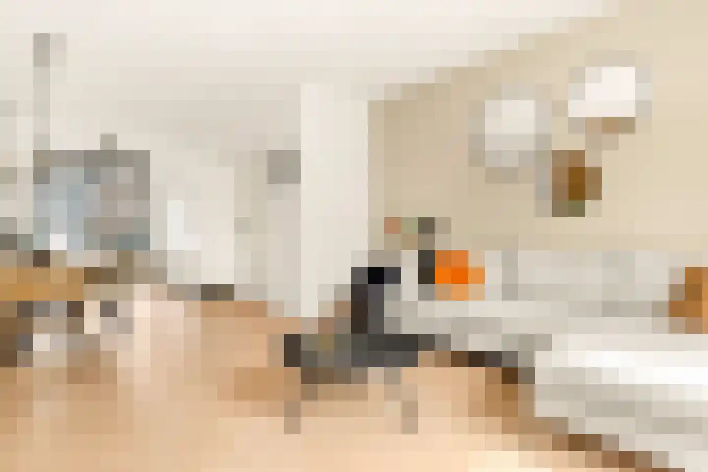 Ranonkelstraat 6 Santpoort-Noord thumbnail 26