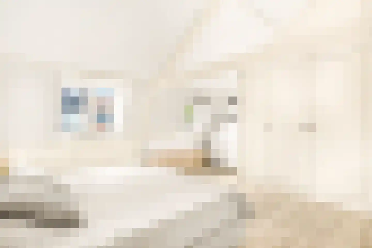 Ranonkelstraat 6 Santpoort-Noord thumbnail 31