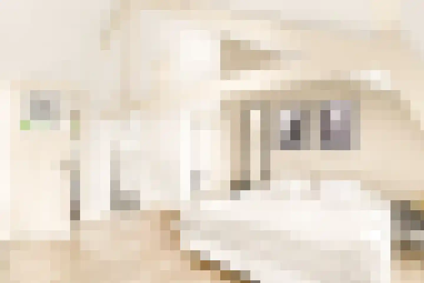 Ranonkelstraat 6 Santpoort-Noord thumbnail 33