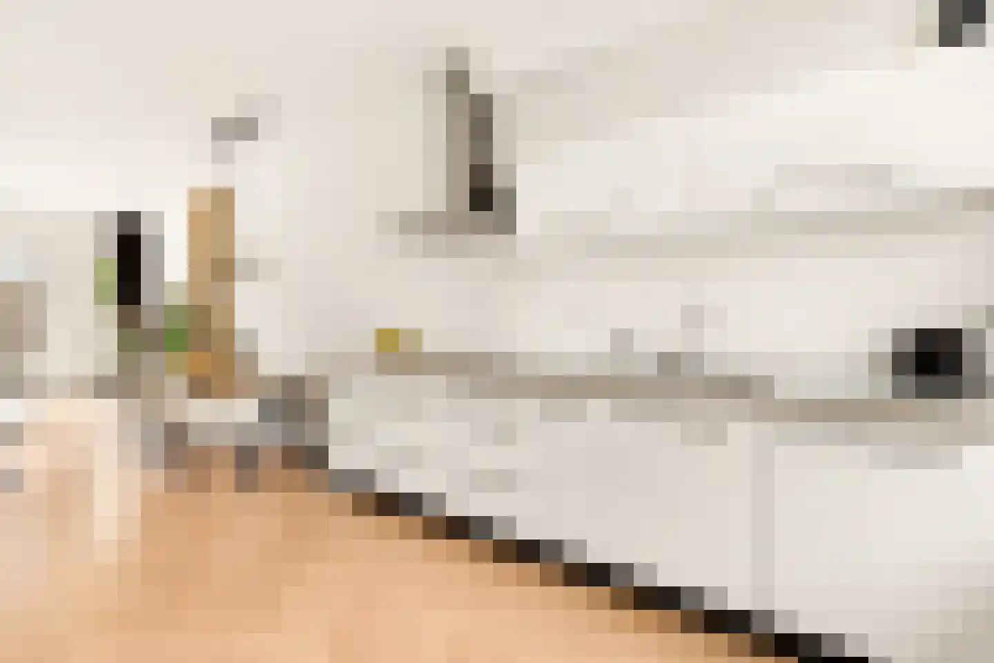 Ranonkelstraat 6 Santpoort-Noord thumbnail 9