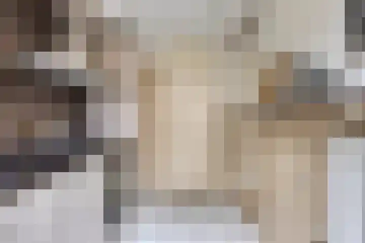 Ranonkelstraat 66 Groningen thumbnail 10