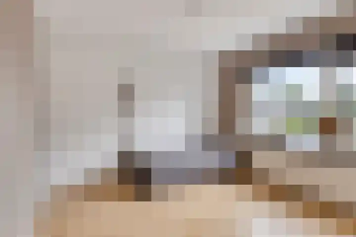 Ranonkelstraat 66 Groningen thumbnail 15